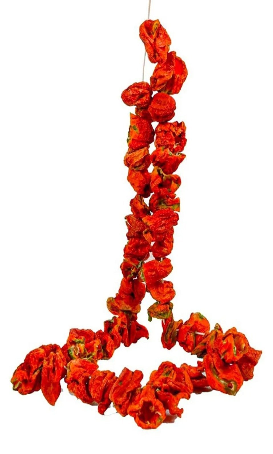 antep-dolmalik-aci-biber-kurusu-dried--63ee3a.jpg