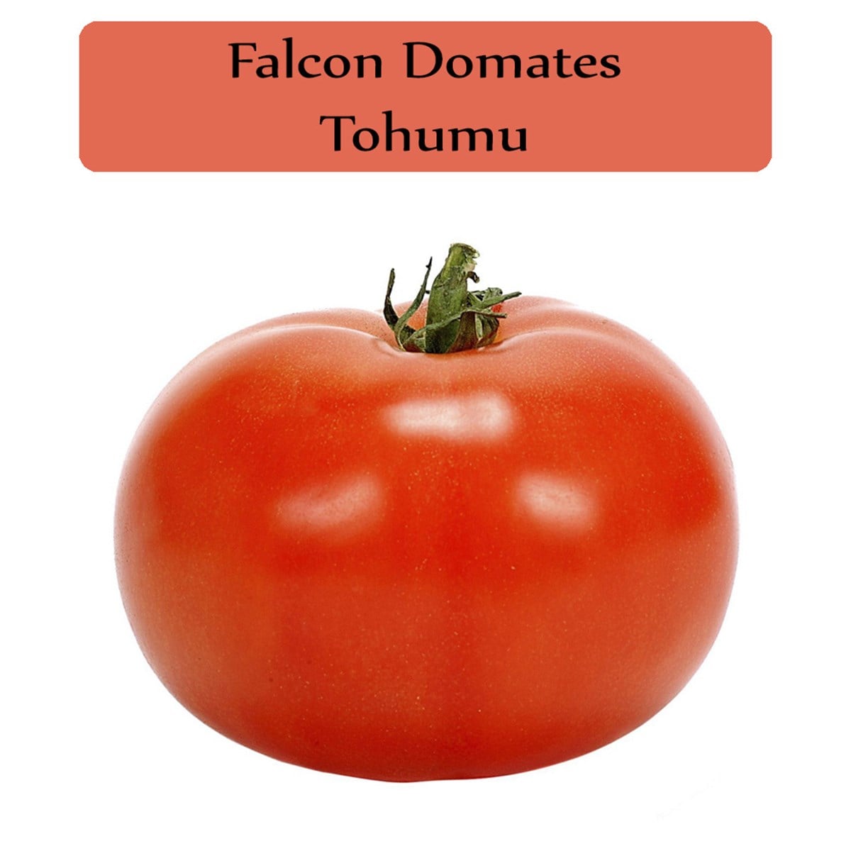 Domates Tohumu 1 Paket (5Gr=1250+ Adet) İri Etli Domates Falcon Domates Tohumu