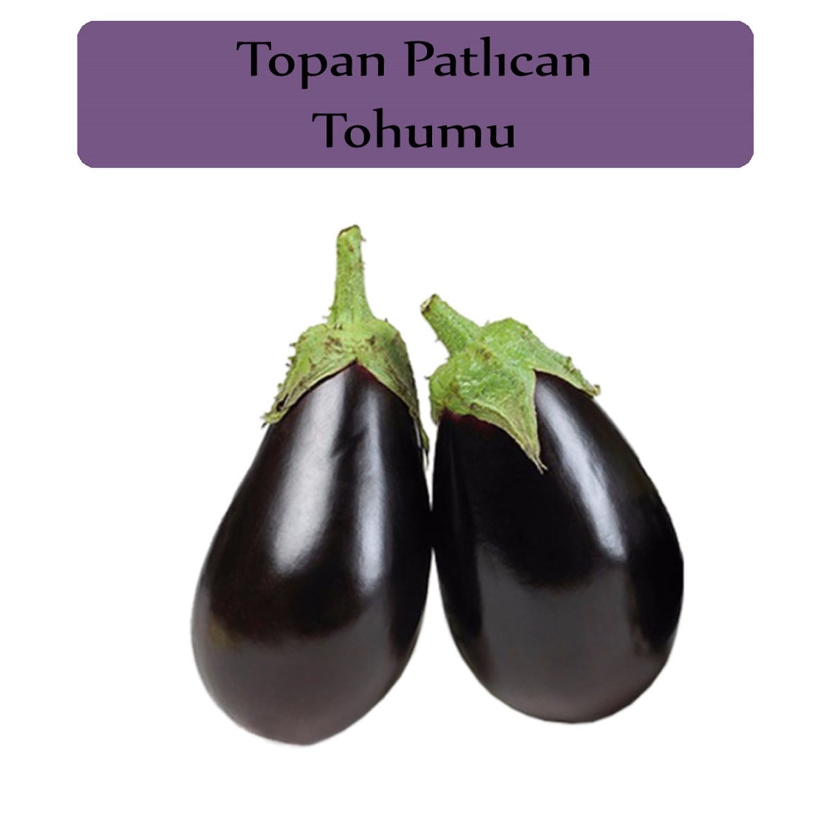 Patlıcan Tohumu 1 Paket (10Gr=2000+ Adet) Topan Patlıcan