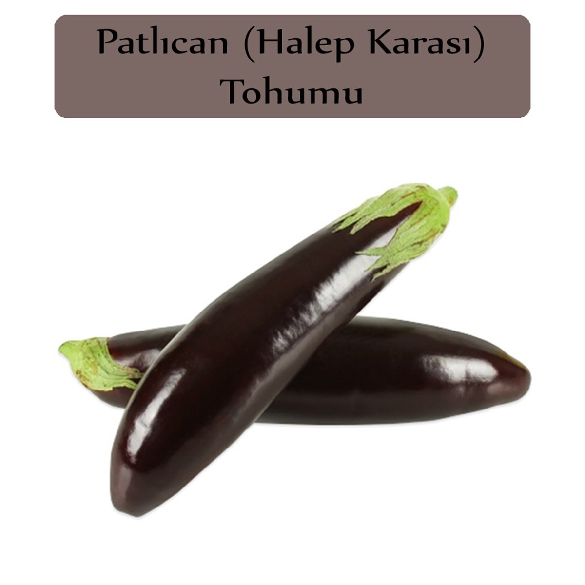 Patlıcan Tohumu Halep Karası 1 Paket (10Gr=2000+ Adet) Halep Karası Patlıcan Tohumu