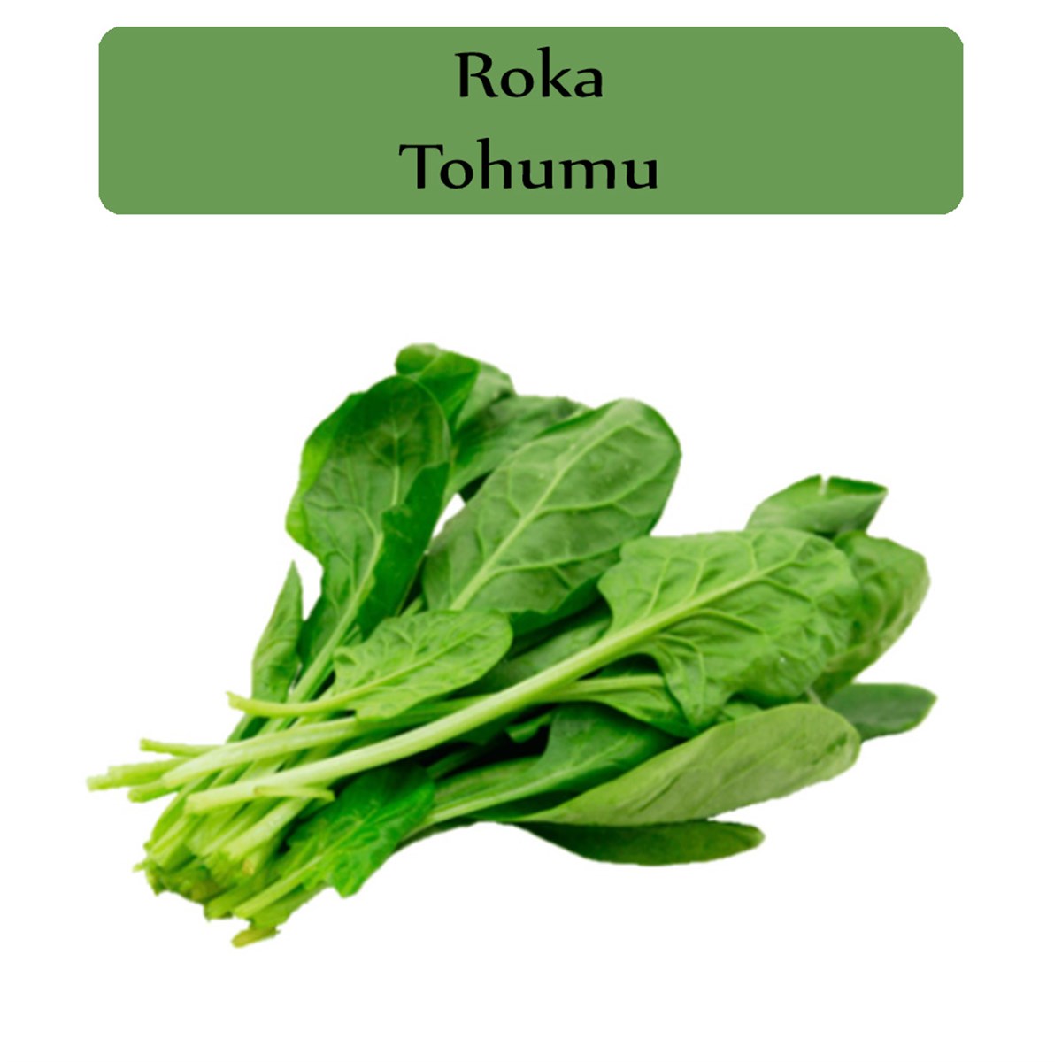 Roka Tohumu 1 Paket (10Gr=3000+ Adet)
