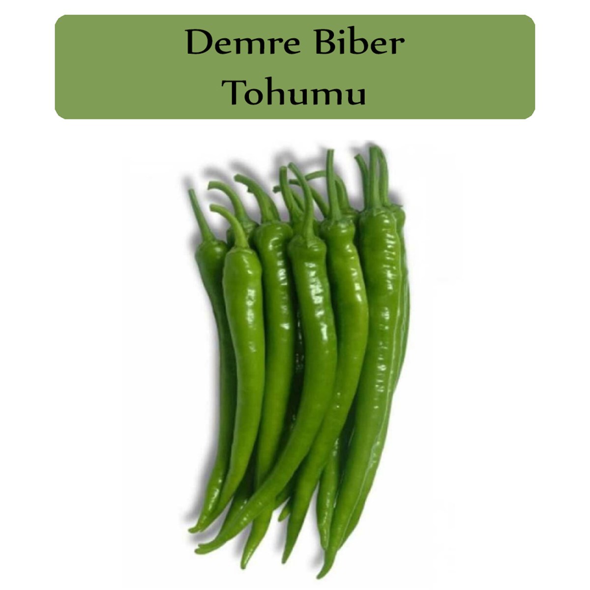 Sera Demre Biber Tohumu 1 Paket (10Gr=1000+Adet) Biber Tohum