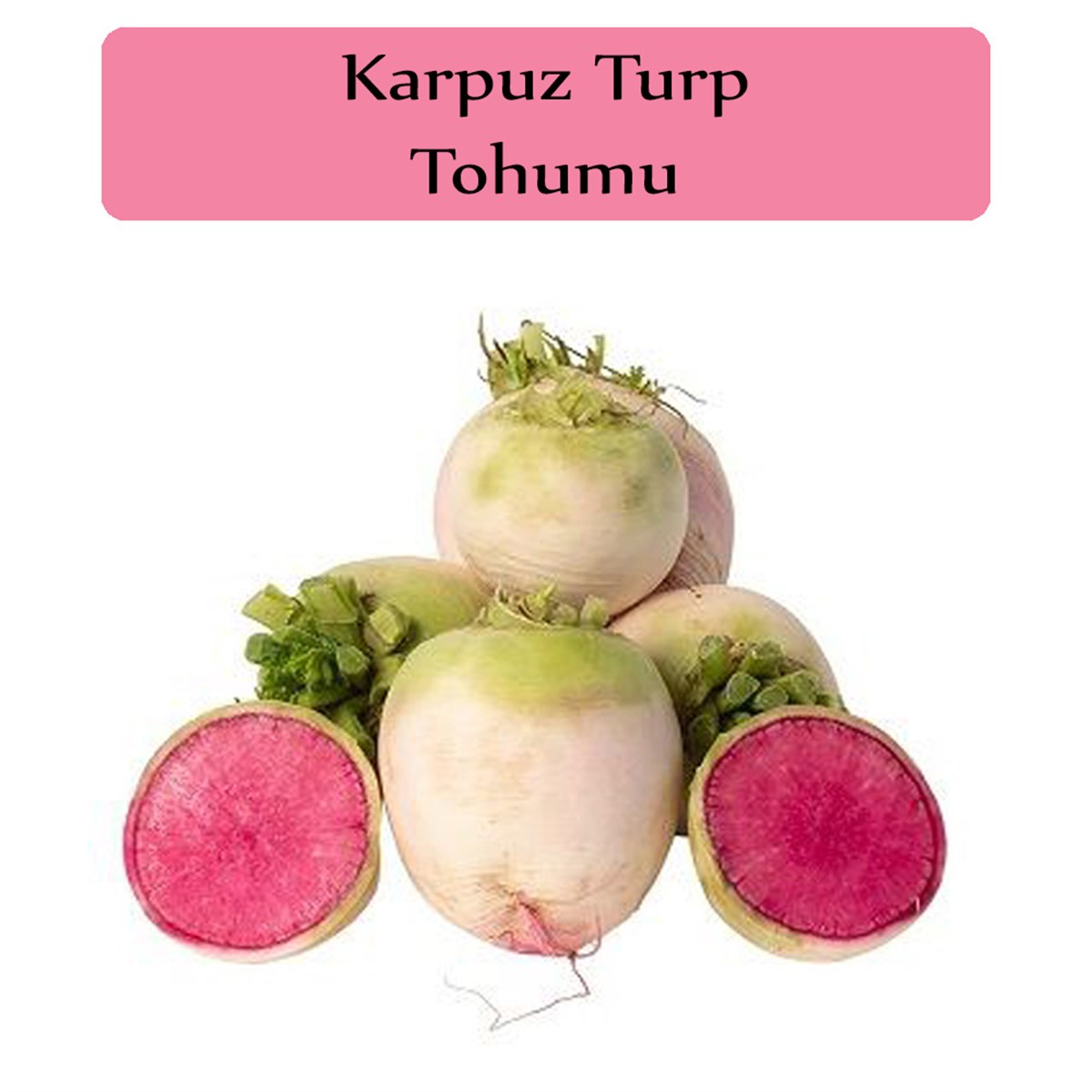 Turp Tohumu 1 Paket (5Gr=500+ Adet) Karpuz Turp Tohumu