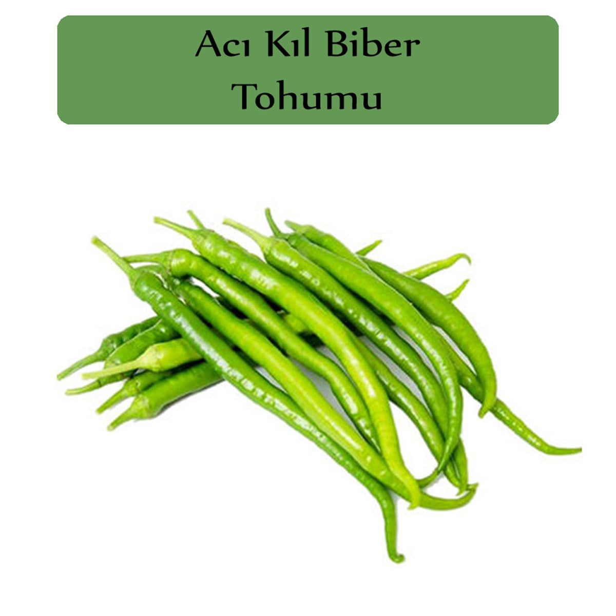 Acı Kıl Biber Tohumu 1 Paket (5 Gr=700+ Adet) Acı Biber Tohumu