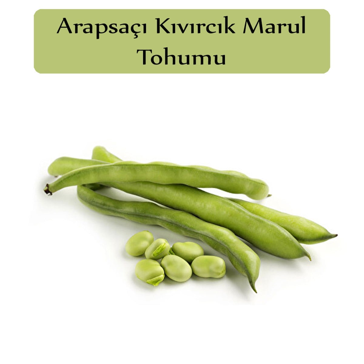 Bakla Tohumu 1 Paket (25 Gr=20+ Adet) Yerli Bakla Tohumu