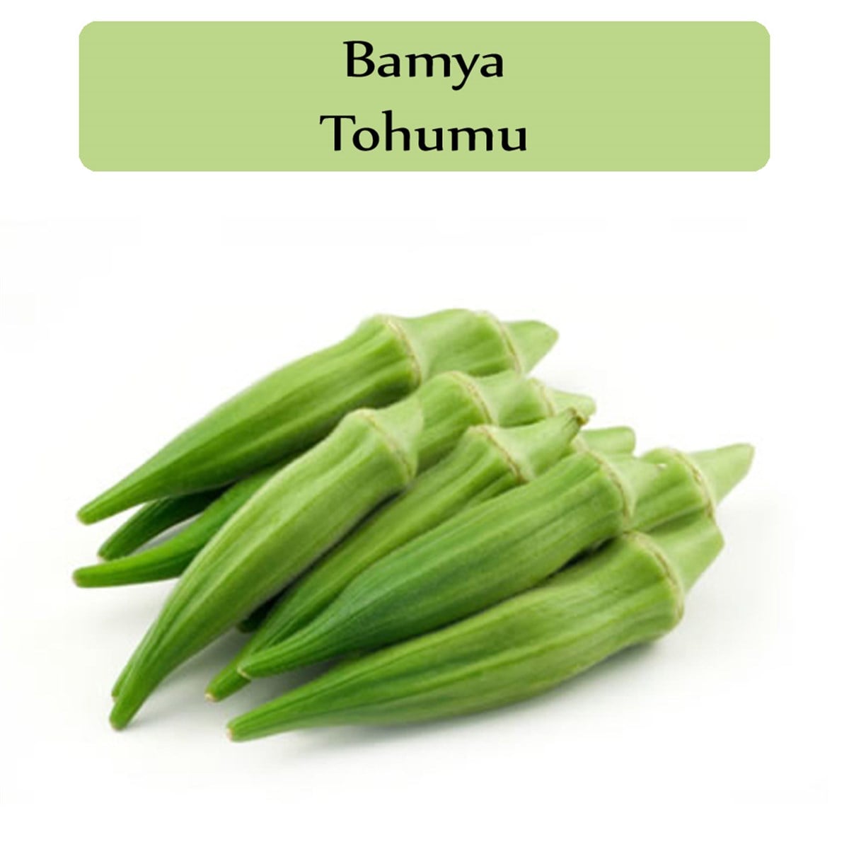 Bamya Tohumu 1 Paket (10 Gr.=100+ Adet) Sultani Bamya