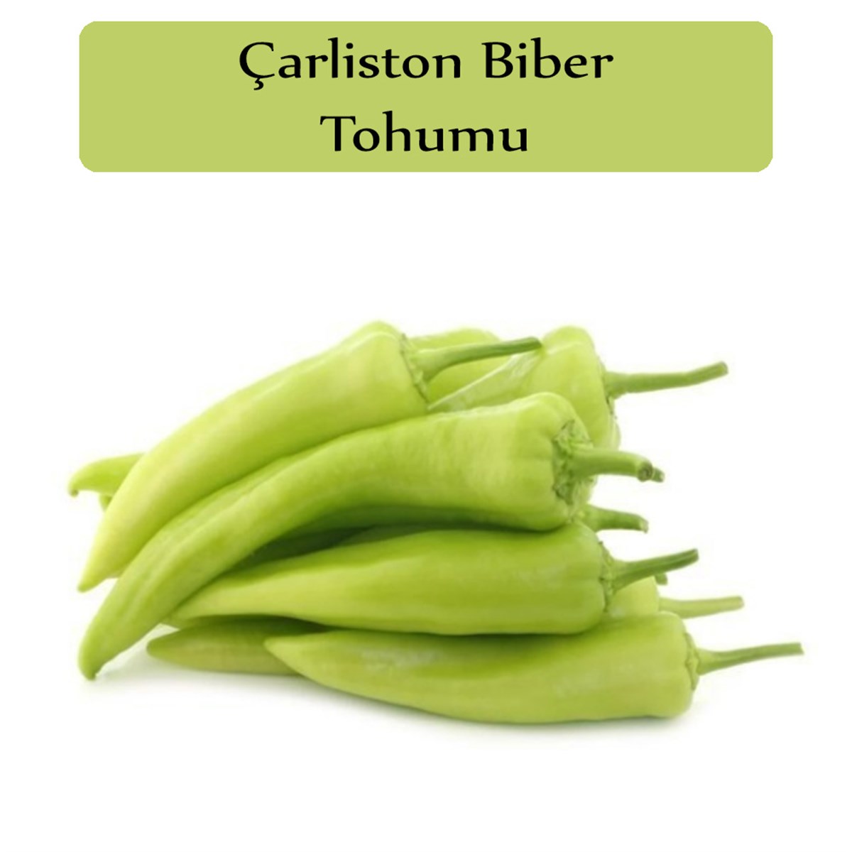 Çarliston Biber Tohumu 1 Paket (10Gr=1000+Adet) Yalova Biber