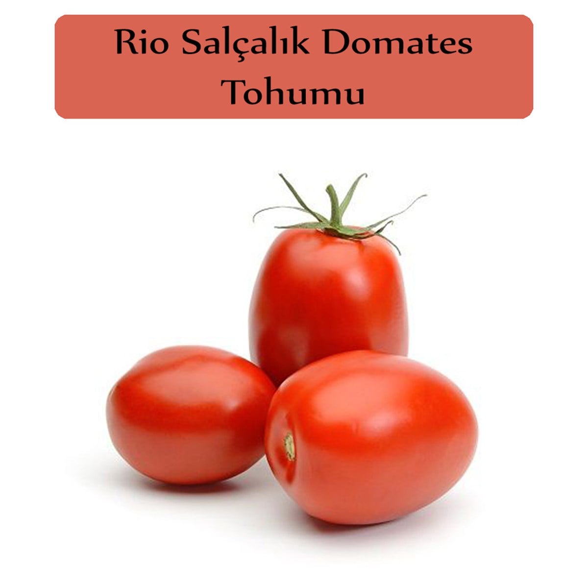 Domates Tohumu 1 Paket (5Gr=1000+Adet) Rio Grande Domates