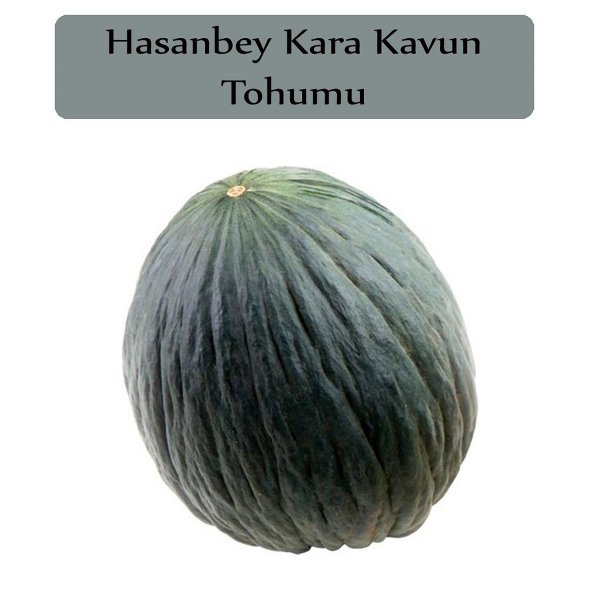 Hasanbey Kavun Tohumu 1 Paket (10Gr=300+Adet) Kara Kavun