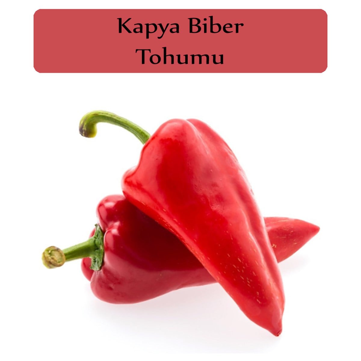 Kapya Biber Tohumu 1 Paket (10Gr=1000+Adet) Kapya Biberi