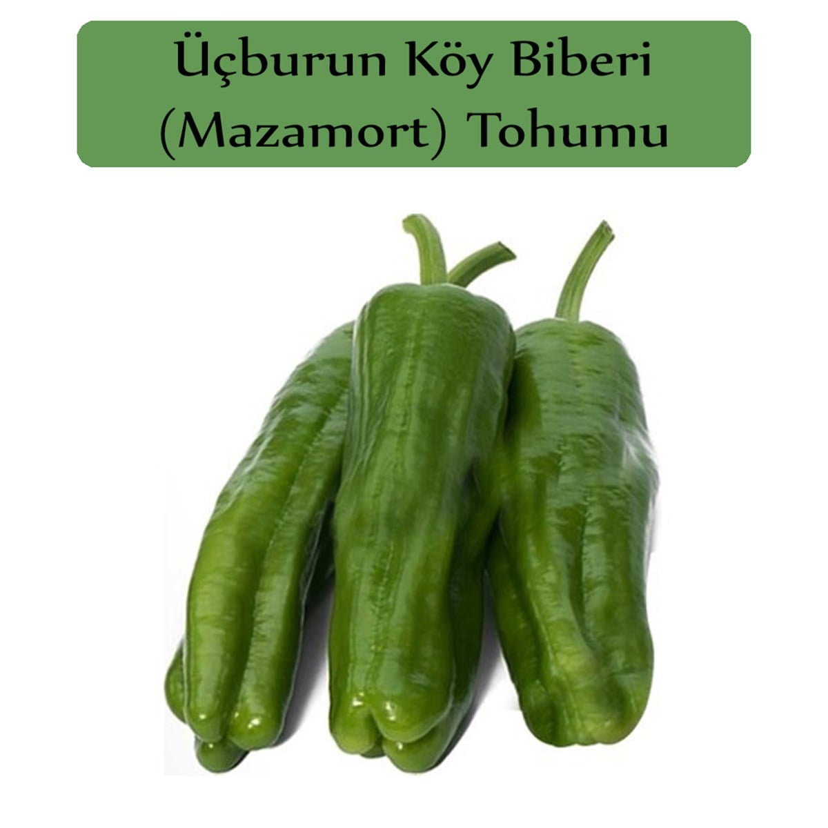 Mazamort Biber Tohumu 1 Paket (10 Gr=1000+ Adet) Üç Burun Biber Tohumu