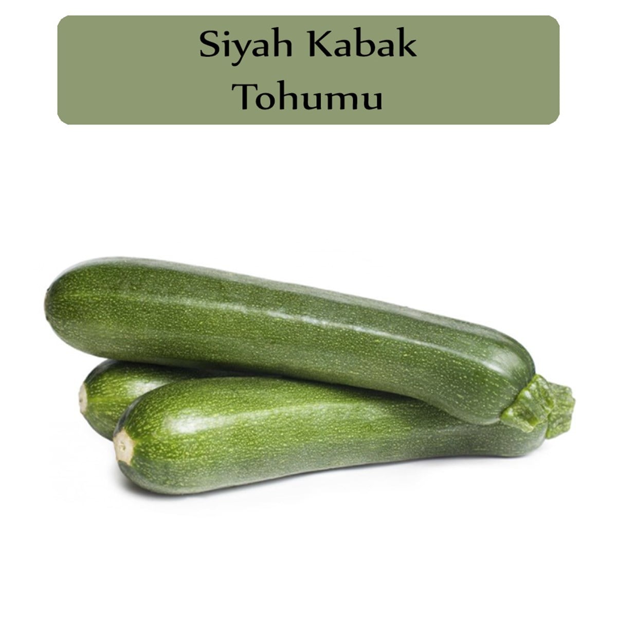 Siyah Kabak Tohumu 1 Paket (10Gr=100+ Adet) Kabak Tohumu Siyah