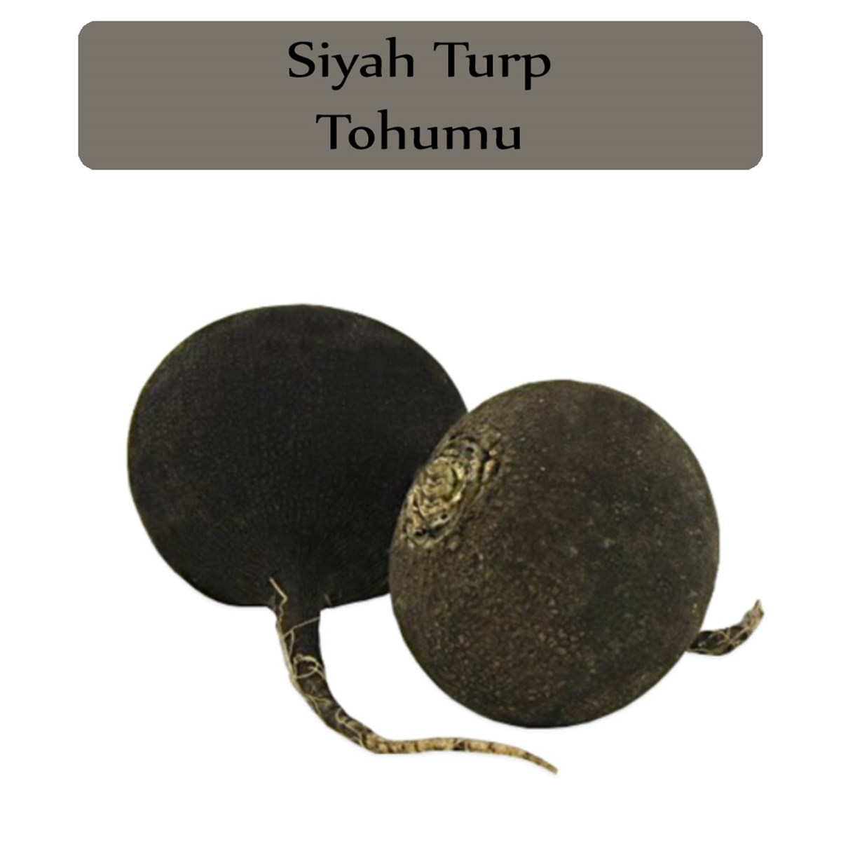 Siyah Turp Tohumu 1 Paket (10Gr=1000+ Adet) Turp Tohumu Siyah