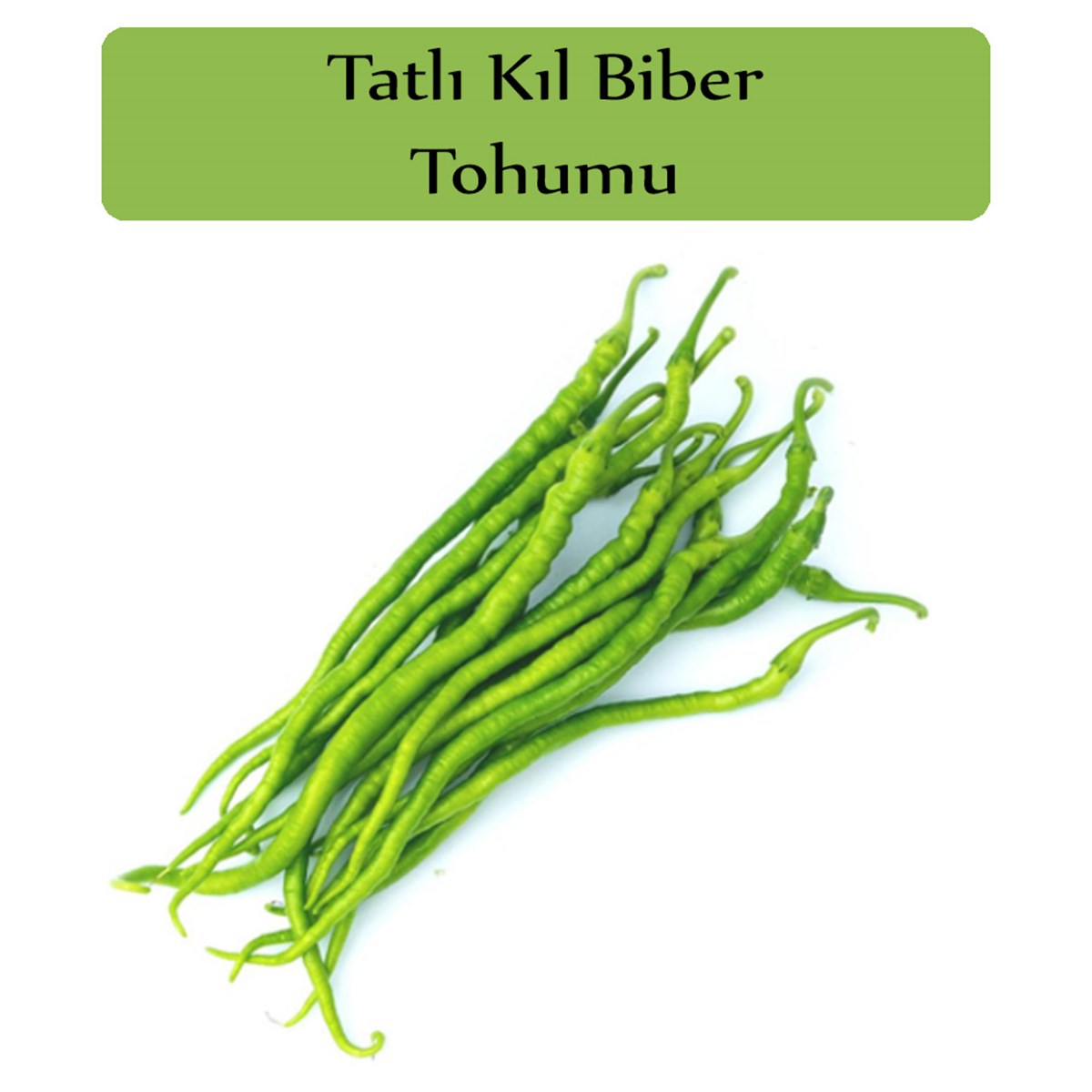 Tatlı Kıl Biber Tohumu 1 Paket (5 Gr=700+ Adet) Tatlı Biber Tohumu