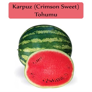 Karpuz Tohumu 1 Paket (10Gr=100+ Adet) Crimson Sweet Karpuz Tohumu