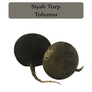 Siyah Turp Tohumu 1 Paket (10Gr=1000+ Adet) Turp Tohumu Siyah