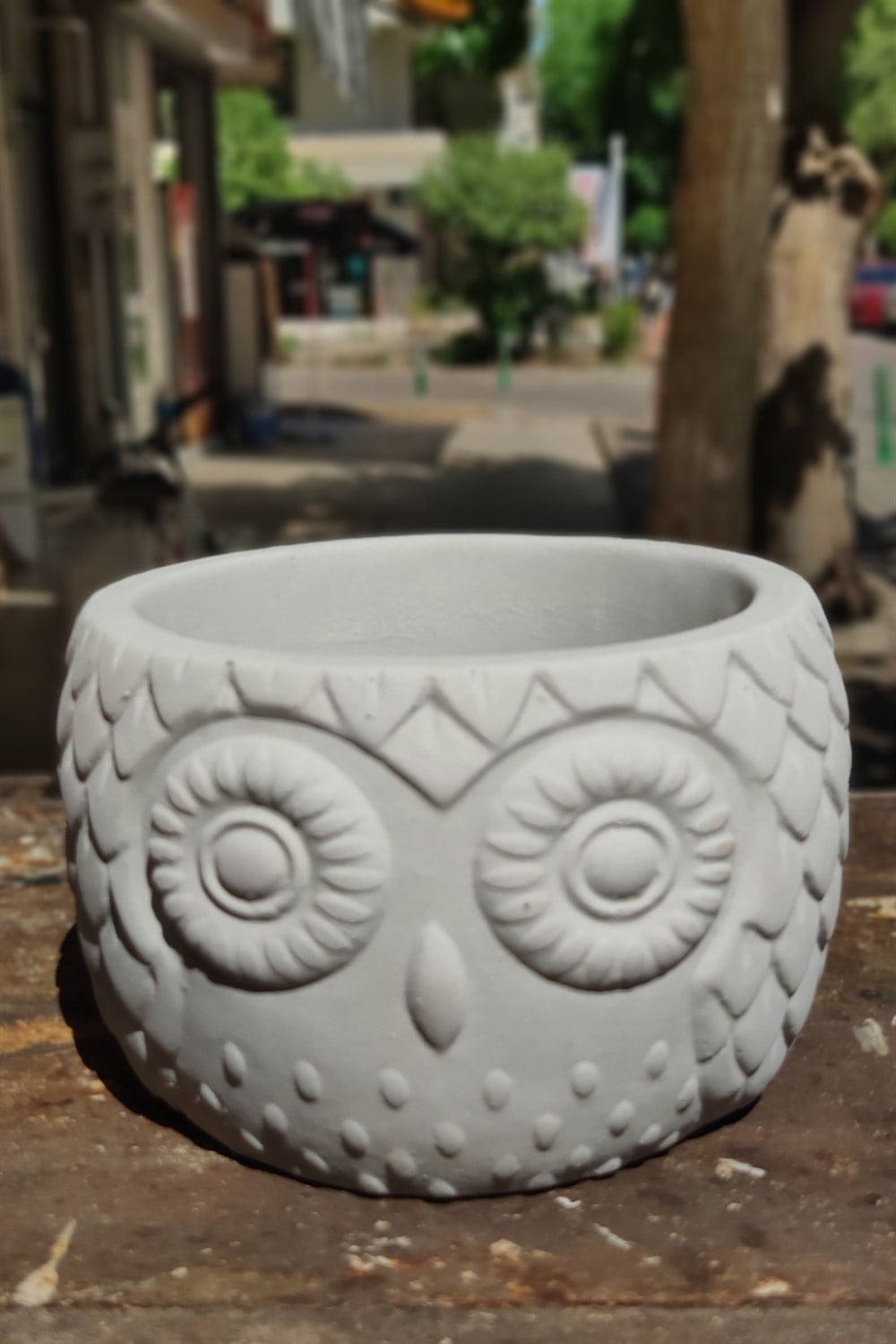 El Yapımı Beton Baykuş Saksı