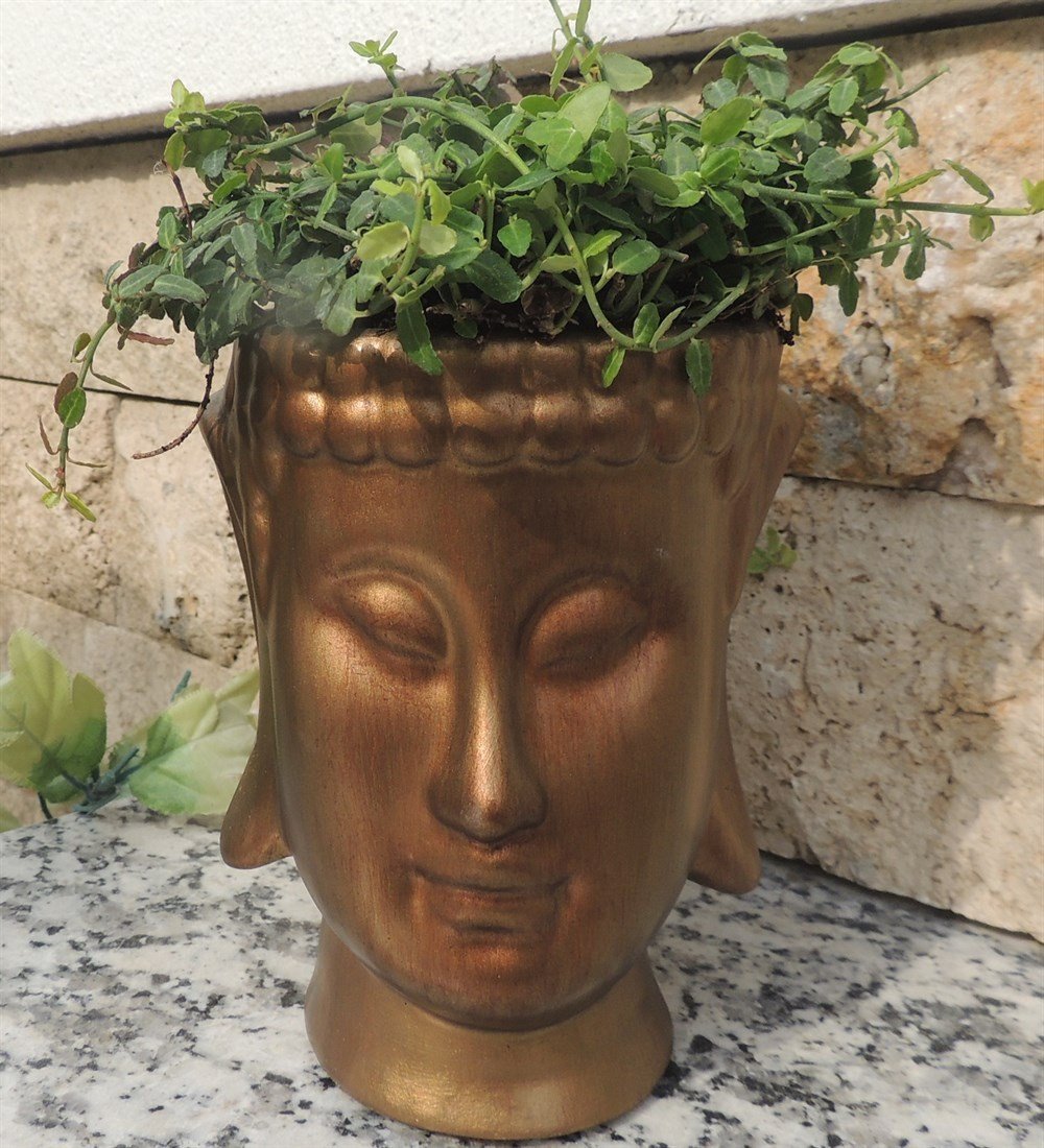 Beton Buddha Altın Rengi Saksı Taflan bitkili