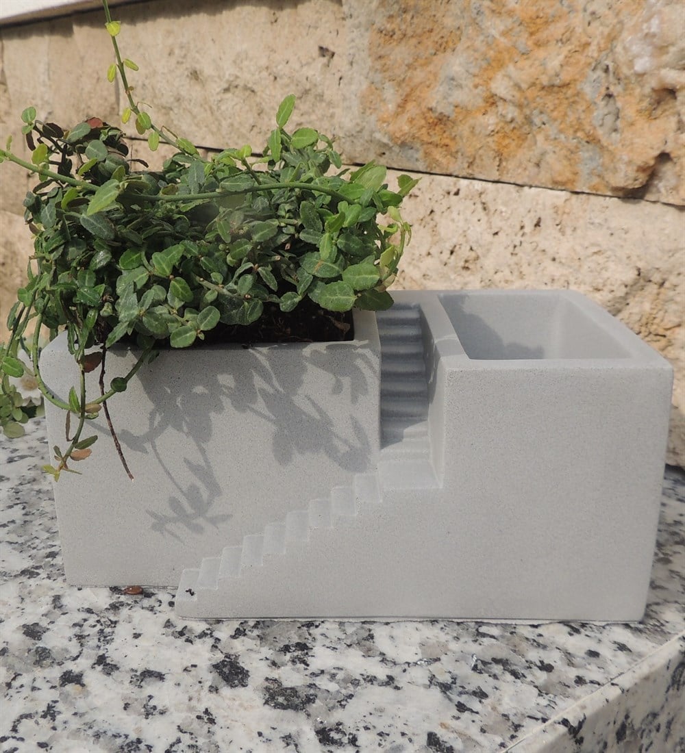 Beton Merdivenli Saksı Tasarım trachelospermum TAFLAN bitkili