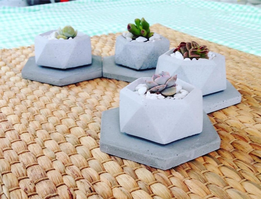 Beton Saksıda 4 Adet Altlıklı Mini Sukulent Set 