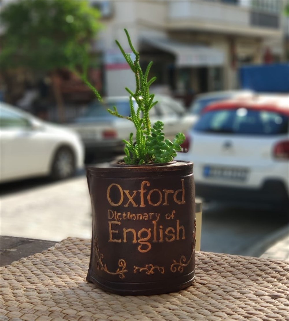 Beton Saksıda Karışık Sukulent Oxford Kitap Tasarım