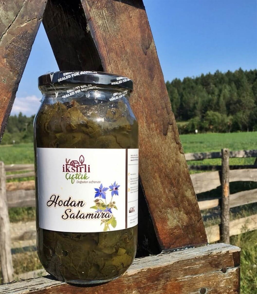 Hodan (Ispıt) Salamura 1000 g