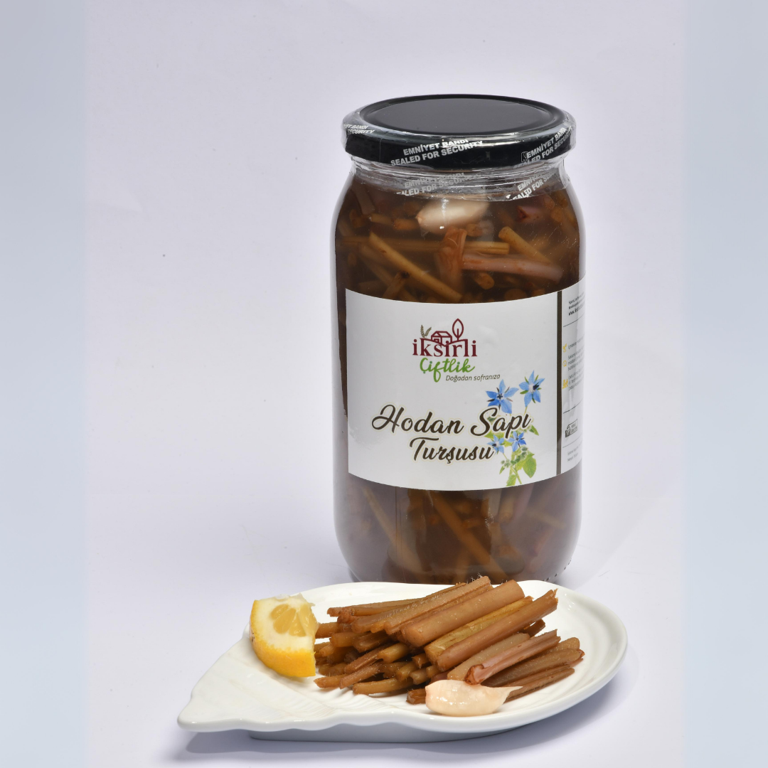 Hodan Sapı Turşusu 1000 g