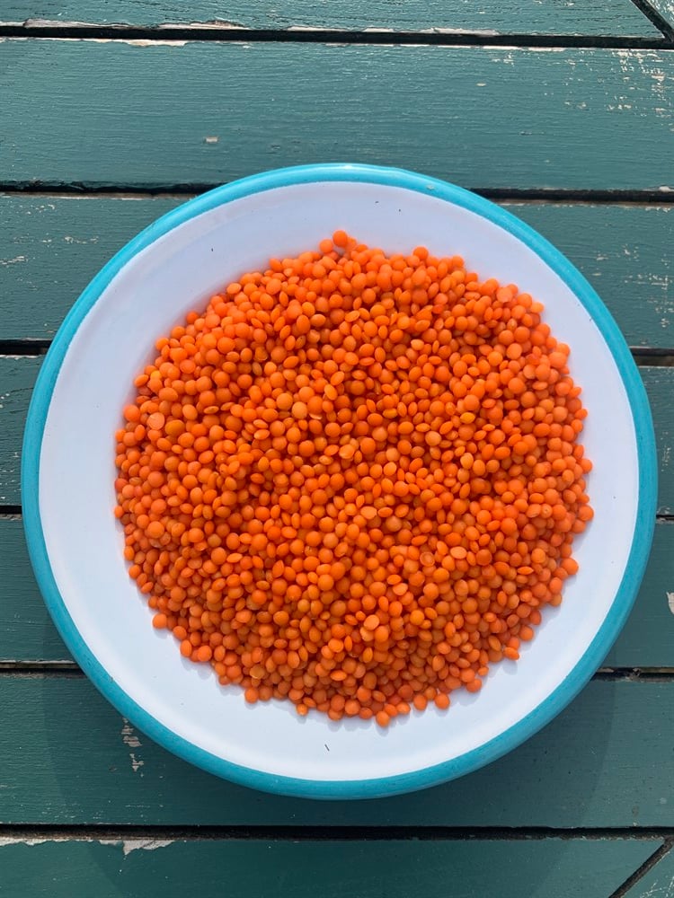 Kırmızı Mercimek 500 g