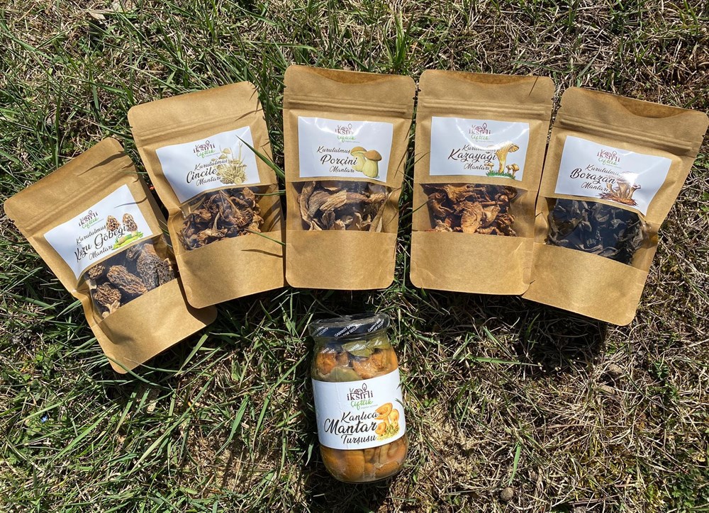 Mantar Tadım Paketi
