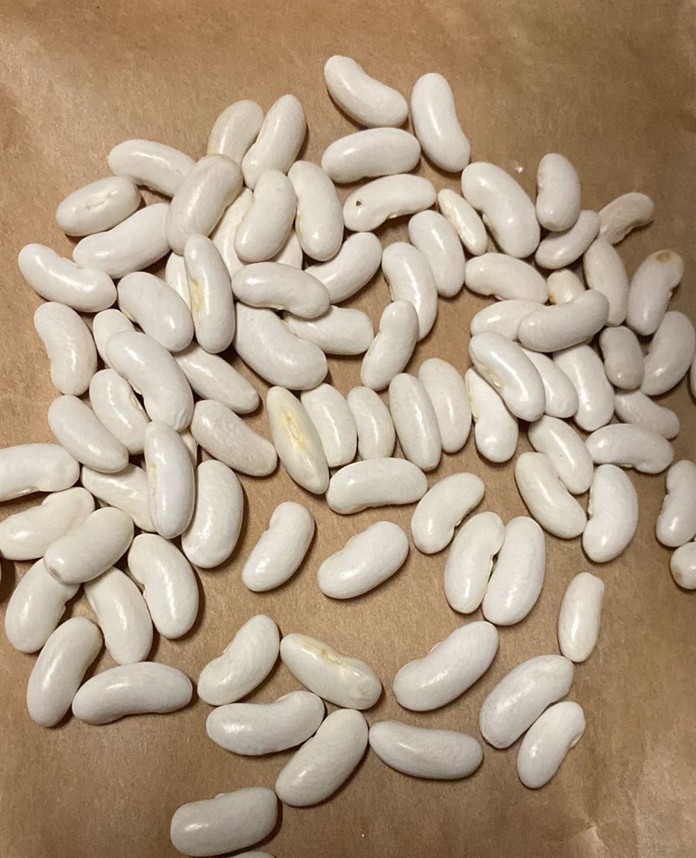 Şeker Fasülye 500 g