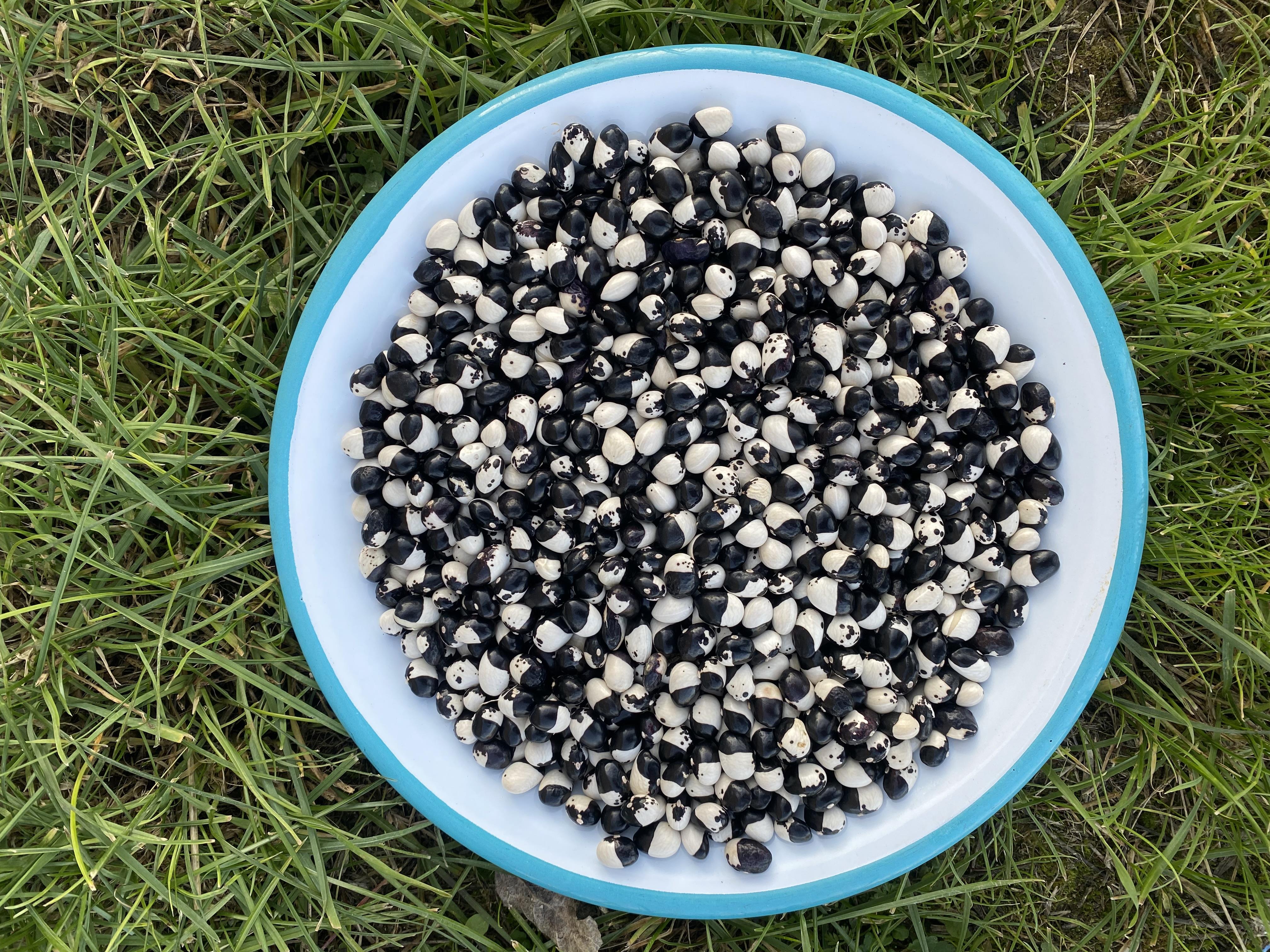 Siyah Empirme Kuru Fasulye 500 g
