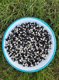 Siyah Empirme Kuru Fasulye 500 g