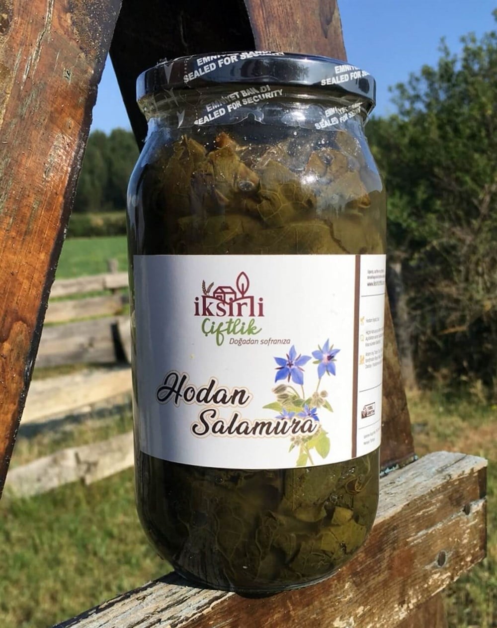 Hodan (Ispıt) Salamura 1000 g