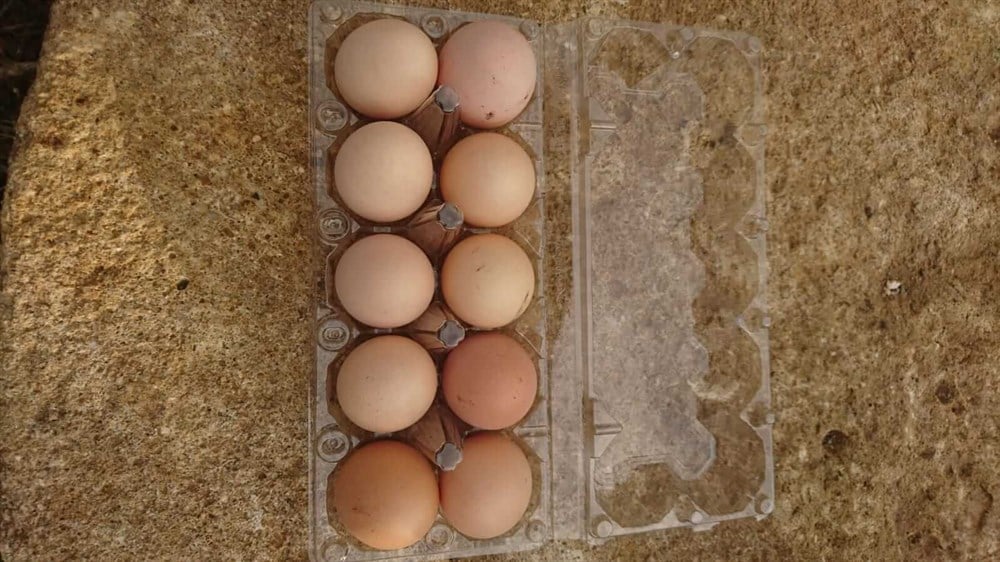 Köy Tavuğu Yumurtası (10'lupaket)