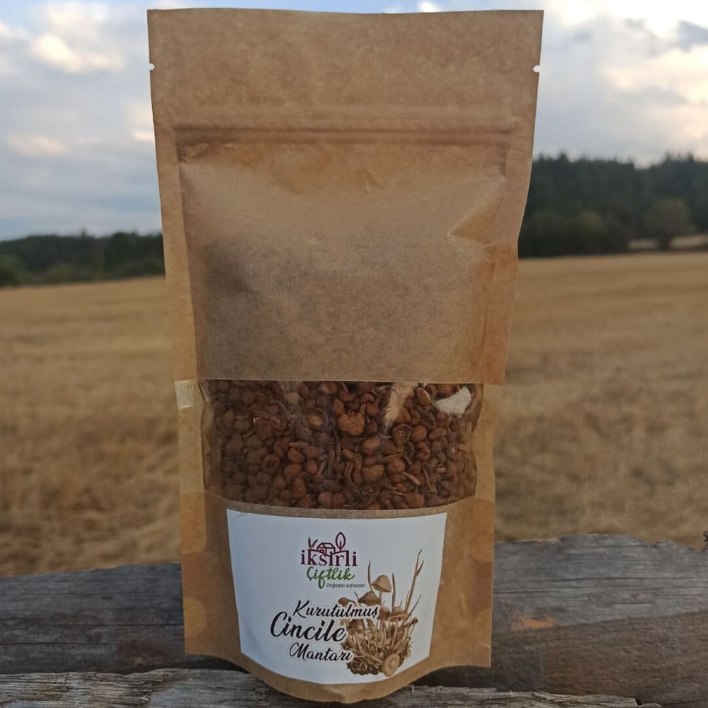 Kuru Cincile Mantarı 100 gr.
