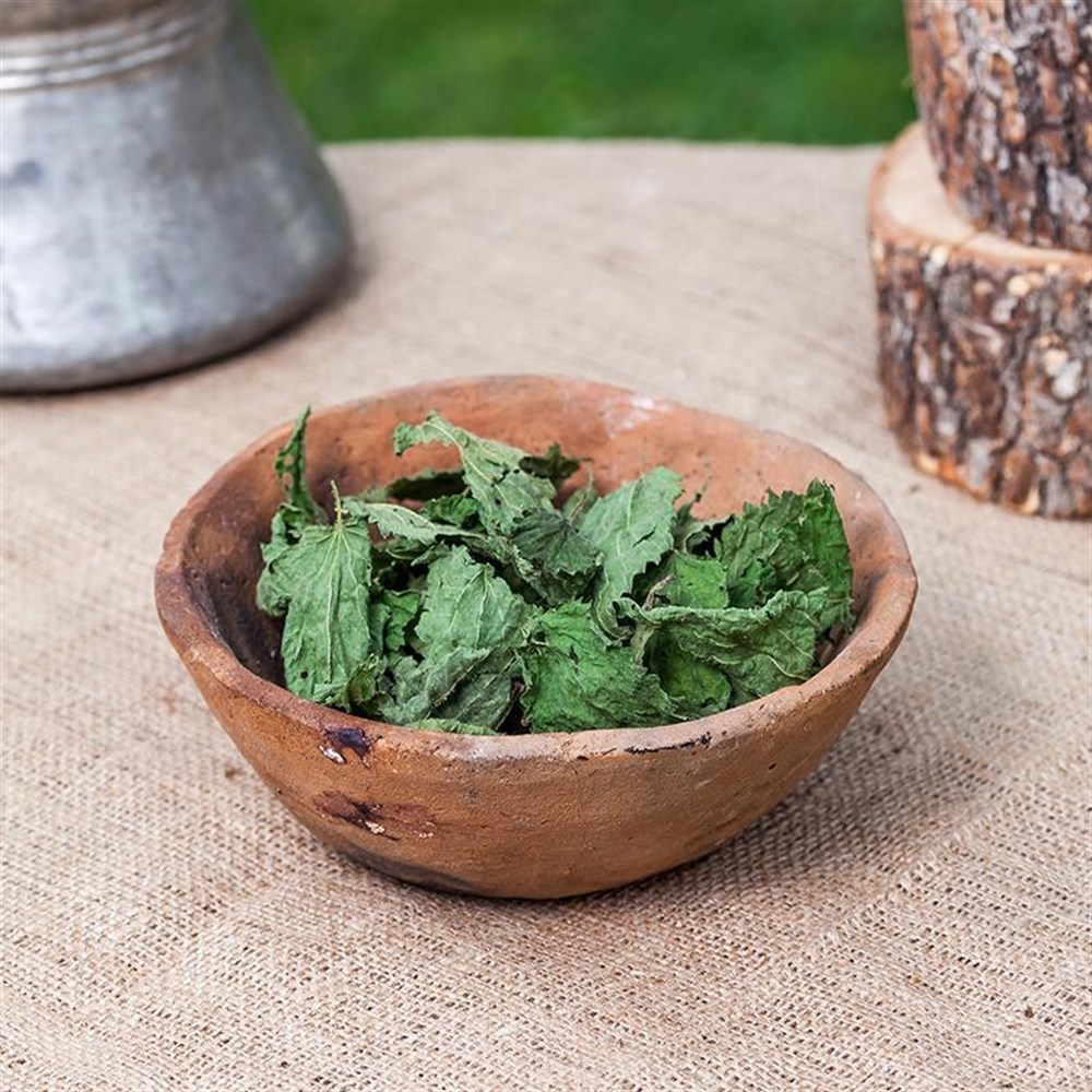 Kurutulmuş Isırgan 100 gr.