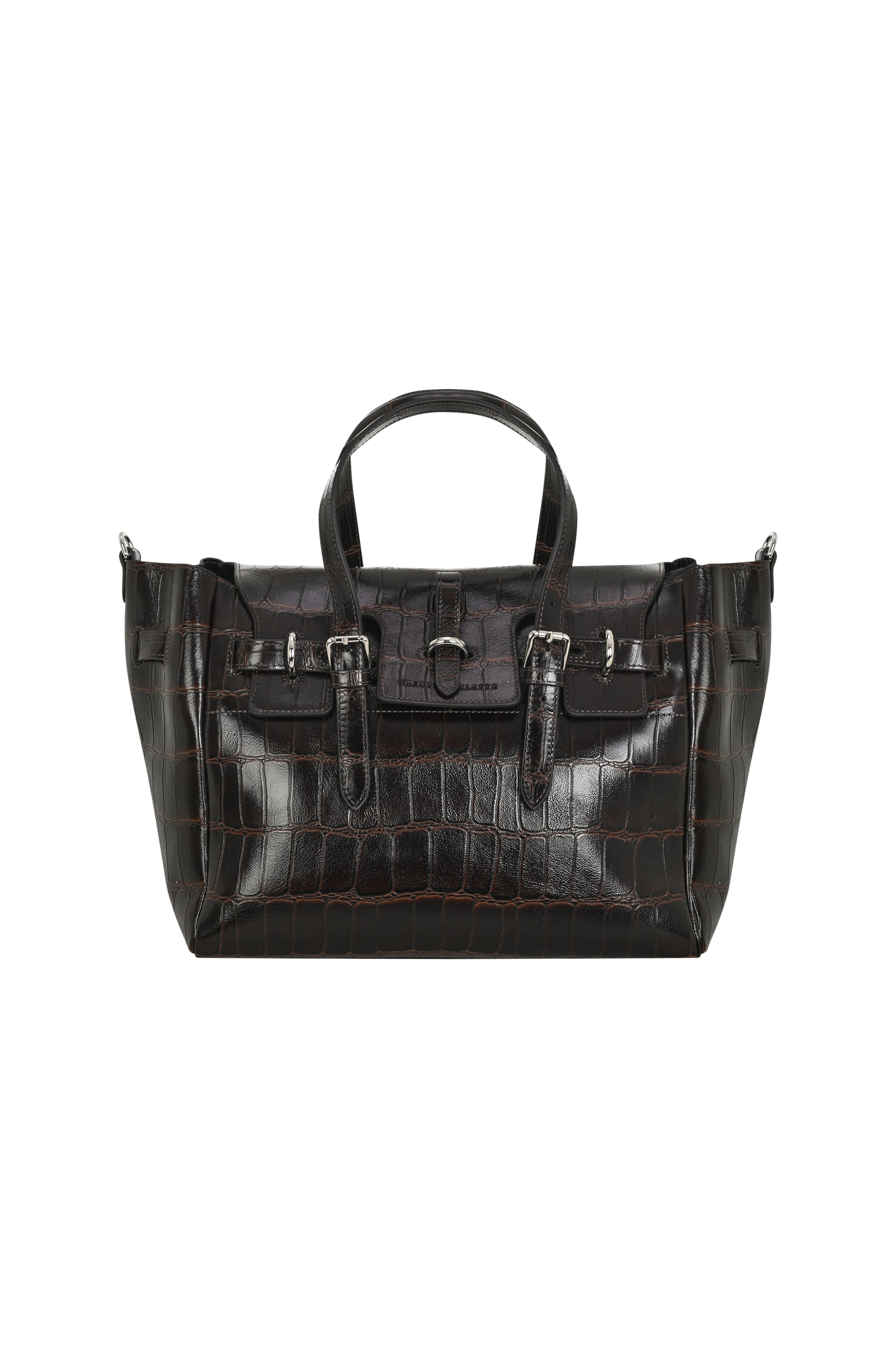 Kahverengi Gabrielle Kroko Desenli Deri Day Bag Silver