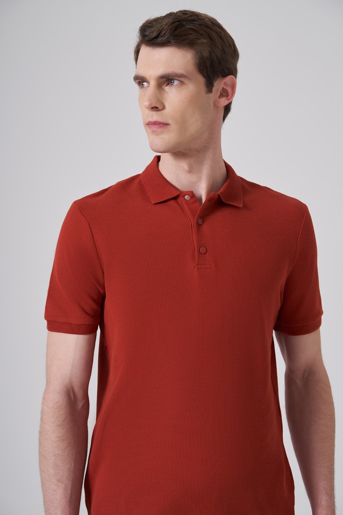 Morven Erkek Kiremit Trend Desenli Polo Yaka T-shirt