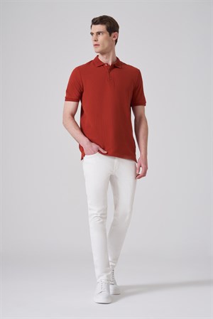 Morven Erkek Kiremit Trend Desenli Polo Yaka T-shirt