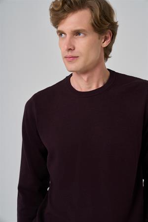 Morven Erkek Mor Basic Bisiklet Yaka Dynamic Fit Rahat Kesim Triko