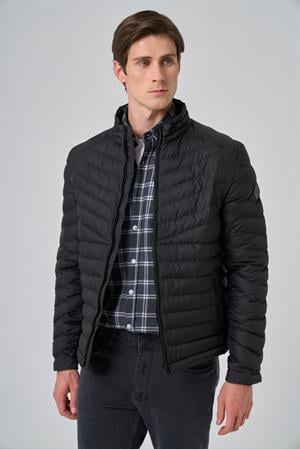 Morven Erkek Siyah Polyester Kısa Kapitone Mont