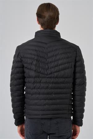 Morven Erkek Siyah Polyester Kısa Kapitone Mont