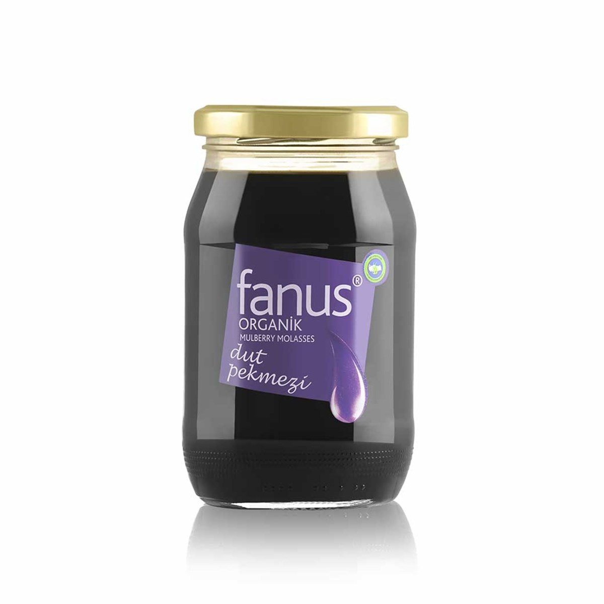 Fanus Organik Dut Pekmezi 450 gr