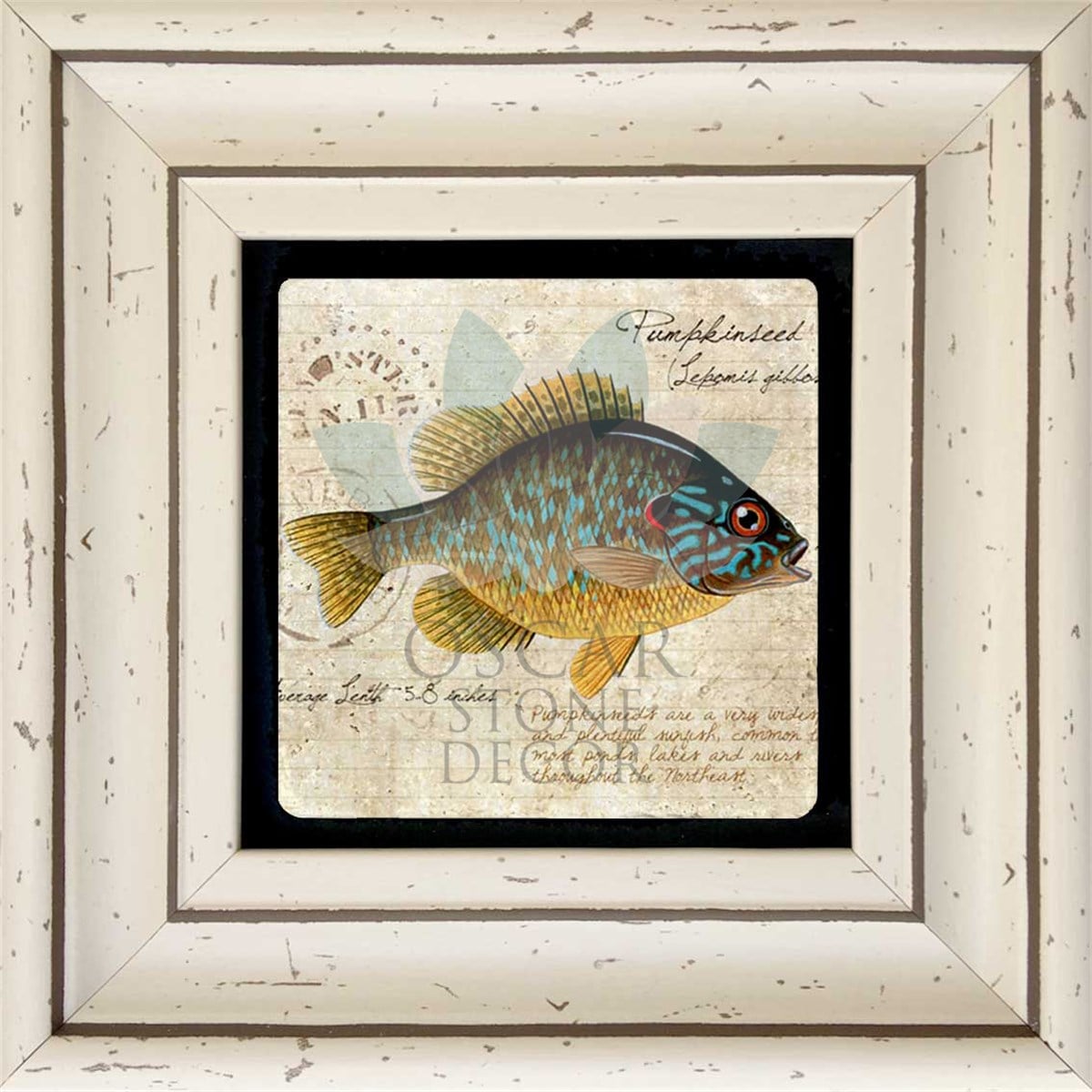OSCAR STONE DECOR TEKLİ ÇERÇEVELİ DOĞALTAŞ DUVAR DEKORU / CDD-30-098 (WALL DECOR)