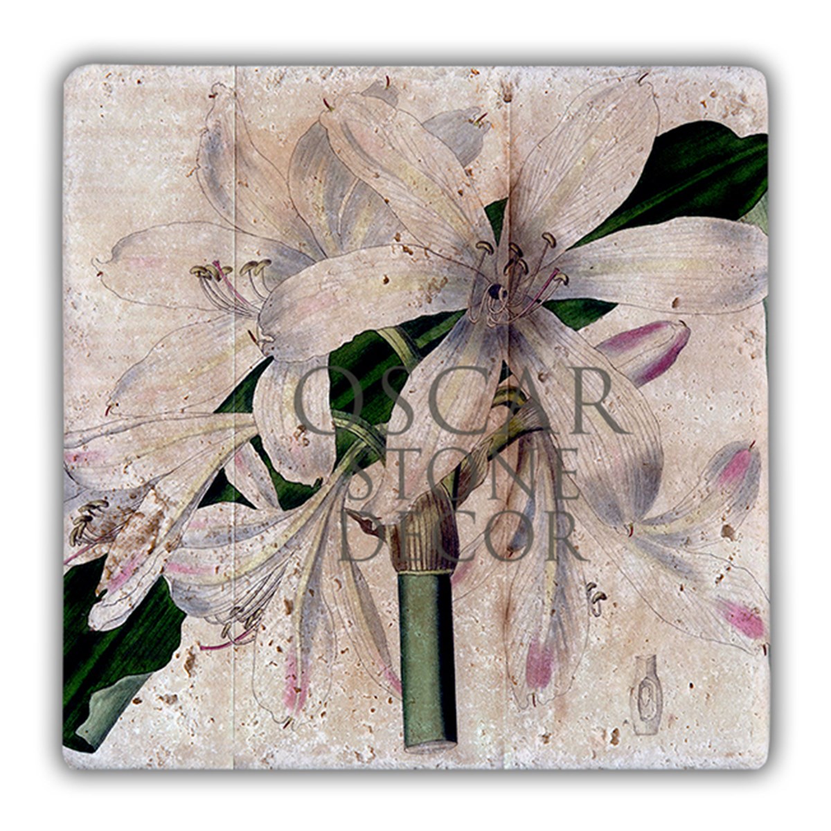 OSCAR STONE DECOR BEYAZ ZAMBAK DOĞALTAŞ DUVAR DEKORU / DD24 (WALL DECOR)