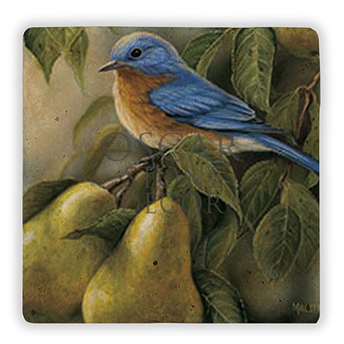 OSCAR STONE DECOR BLUE BIRD DOĞALTAŞ DUVAR DEKORU / DD186 (WALL DECOR)