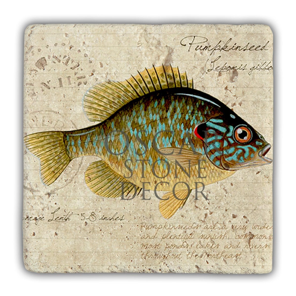 OSCAR STONE DECOR DD044-BALIK DOĞALTAŞ DUVAR DEKORU / DD44 (WALL DECOR)