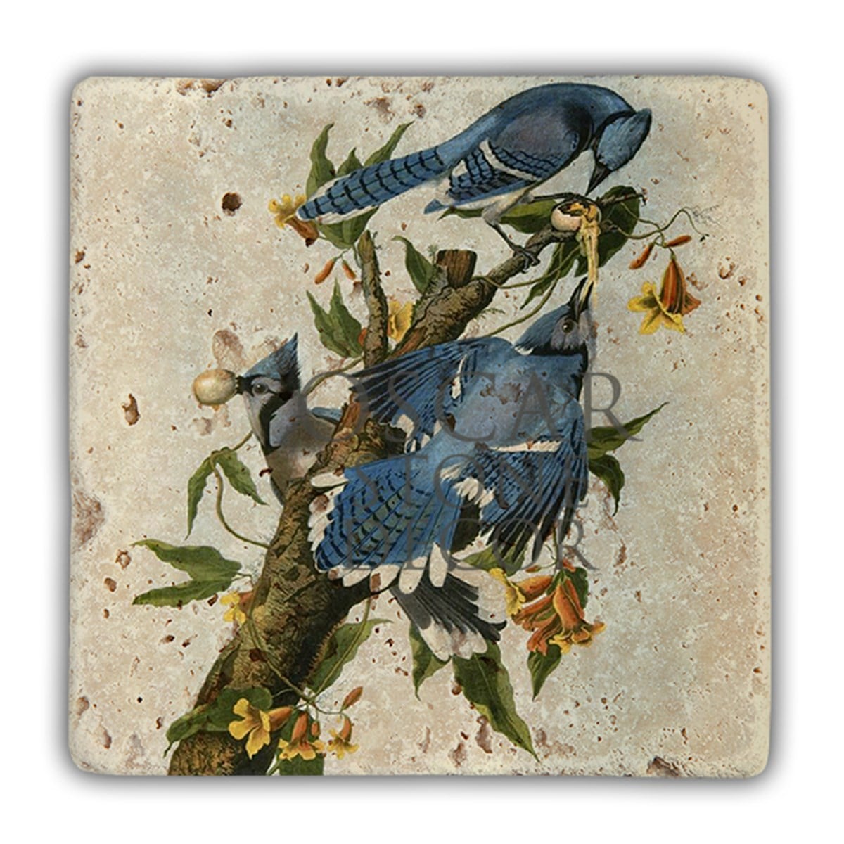OSCAR STONE DECOR DD059-YAVRU KUŞ DOĞALTAŞ DUVAR DEKORU / DD59 (WALL DECOR)