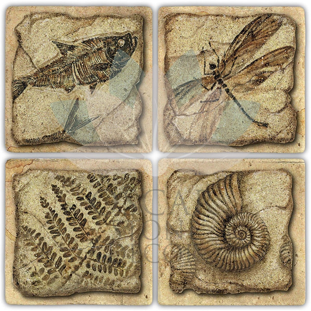 OSCAR STONE DECOR FOSSİL 4'lü DOĞALTAŞ BARDAK ALTLIĞI / BA486 (COASTER)