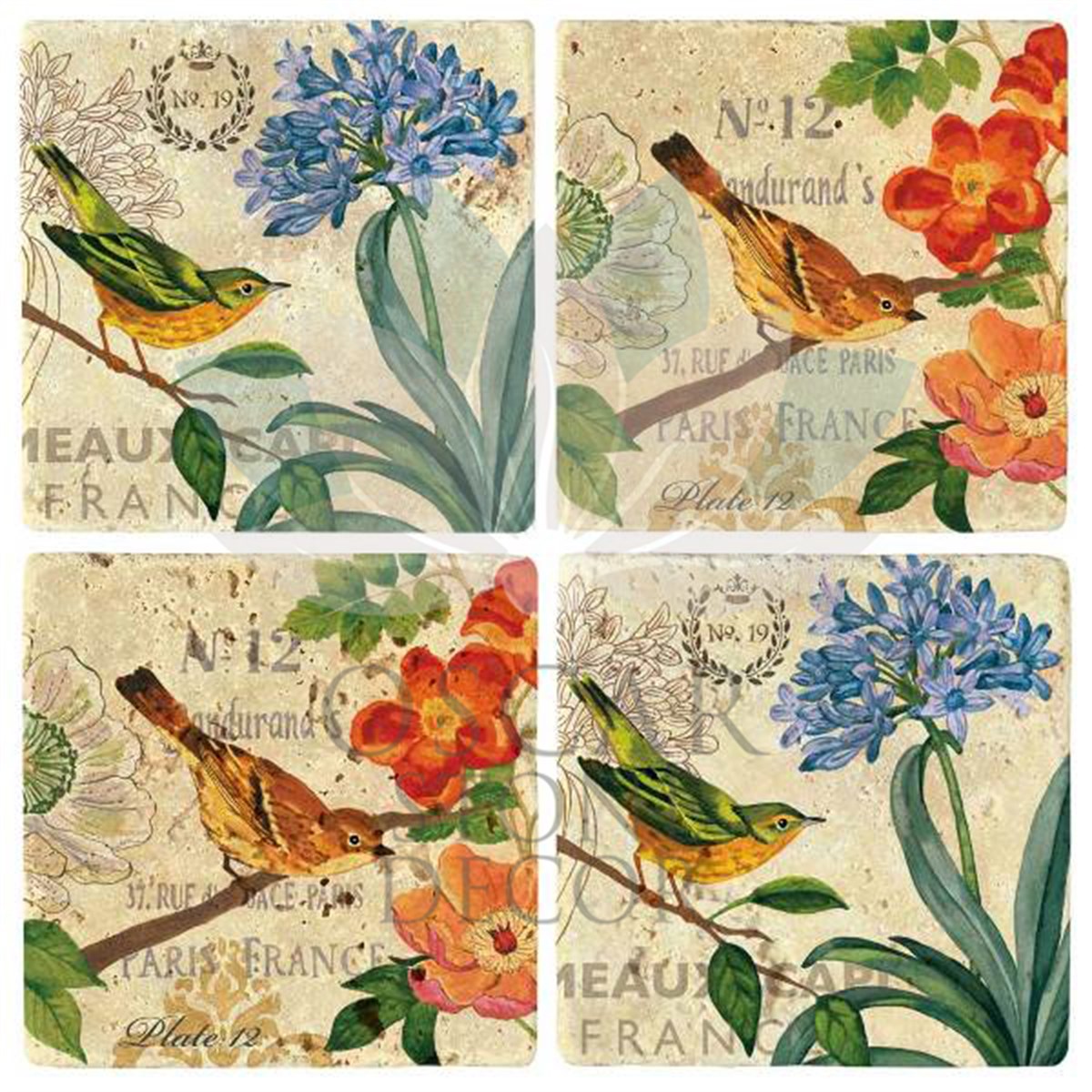 OSCAR STONE DECOR FRANCE BIRD 4'lü DOĞALTAŞ BARDAK ALTLIĞI / BA264 (COASTER)